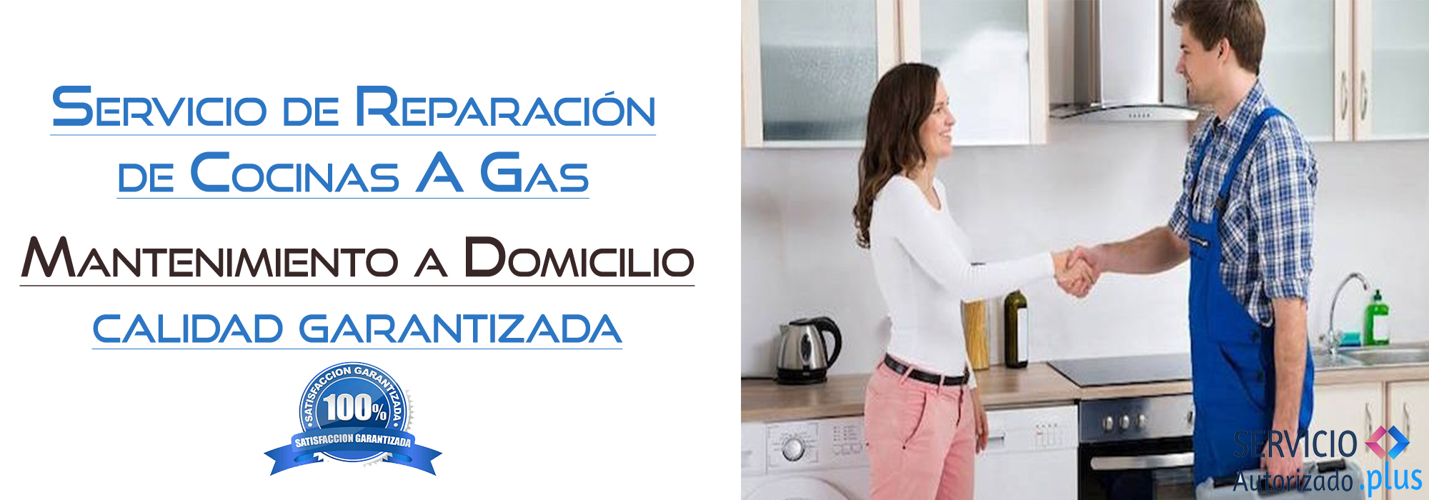 Servicio Autorizado Plus