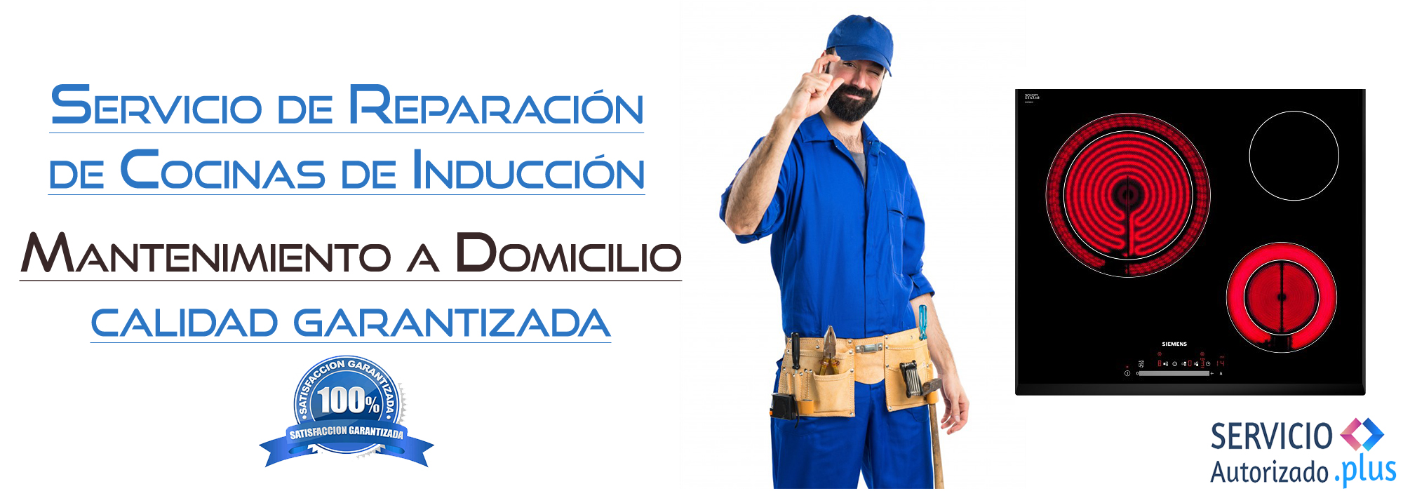 Servicio Autorizado Plus