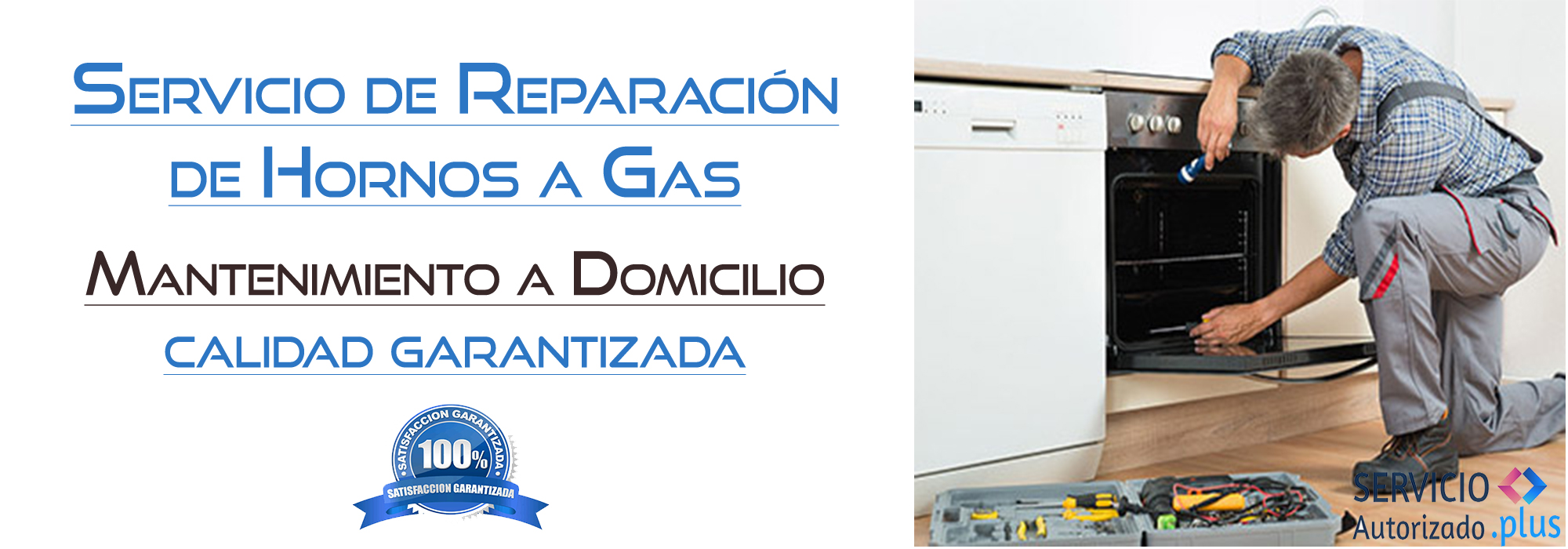 Servicio Autorizado Plus