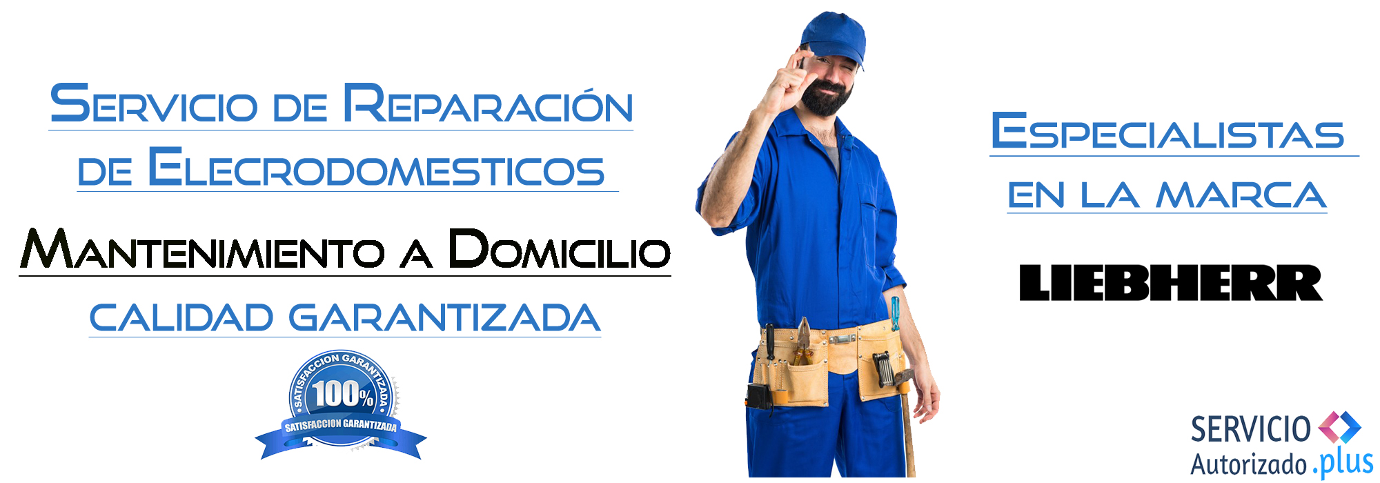 Servicio Autorizado España Plus