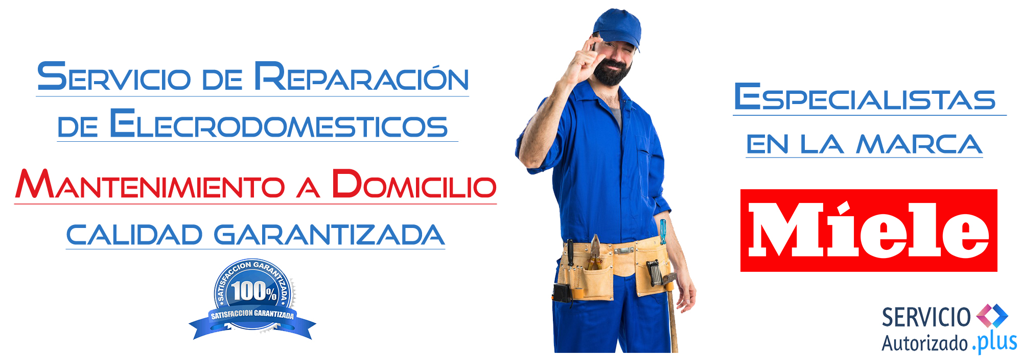 Servicio Autorizado España Plus