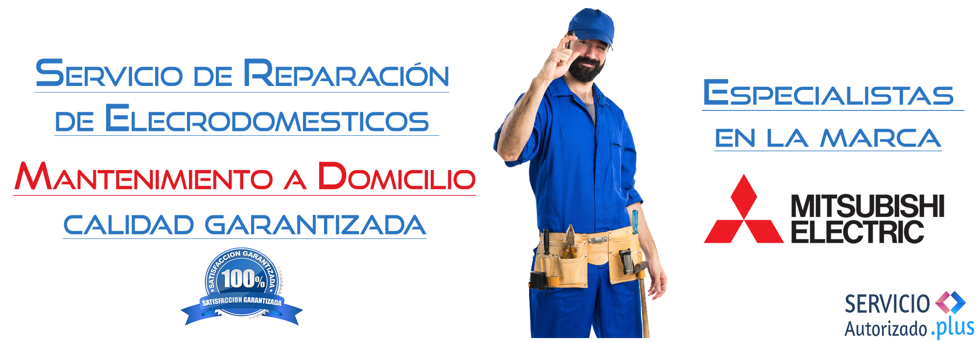 Servicio Autorizado España Plus